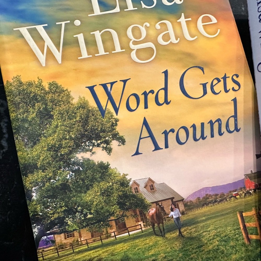 Lisa Wingate Book Set - Picture 4 of 4